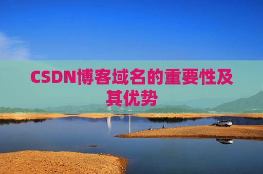 CSDN博客域名的重要性及其优势